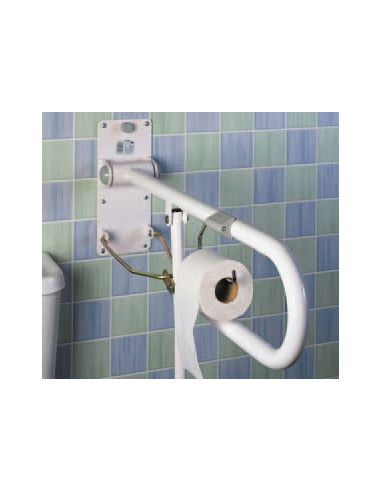 Système pour maintenir le papier toilettes