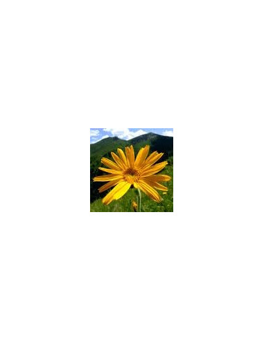 Boiron Arnica Montana Granules 9ch Tube
