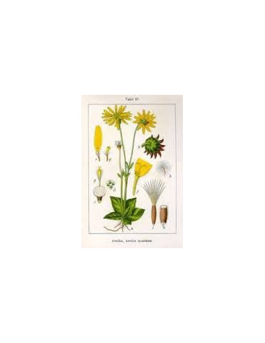 Boiron Arnica Montana 9ch Dose Unitaire