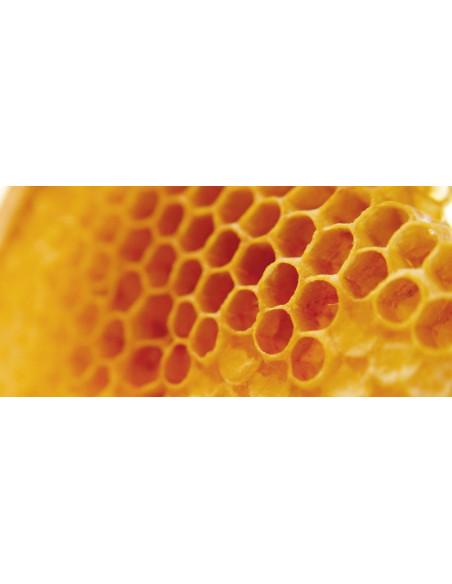 Alvéolys Spray gorge de l'apiculteur 15 ml