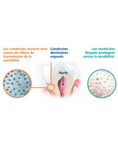 ELMEX SENSITIVE DENTIFRICE 2